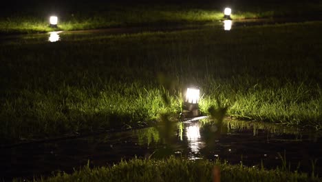 4k:-Regnerische-Nacht-Und-Licht,-Regentropfen-Fallen-über-Die-Gartenbodenlichter-In-Georgia