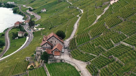 Drone-follows-car-driving-along-winding-road-below-vineyards-in-Lausanne-Switzerland