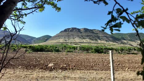 Ein-Blick-Auf-Weinberge-In-Sudak,-Krim,-Russland-Mit-Hügeln-Im-Hintergrund