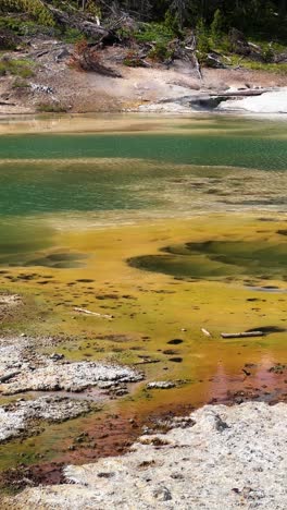 Vertical-Panorama,-Yellowstone-National-Park-Hot-Geothermal-Water-and-Landscape,-Wyoming-USA