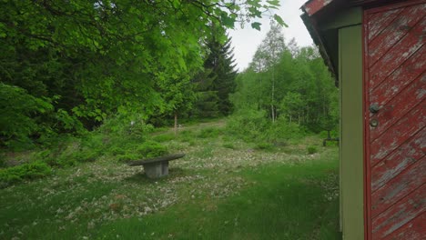 Couple-walking-in-lush-green-forest-near-a-rustic-wooden-cabin-in-Norway