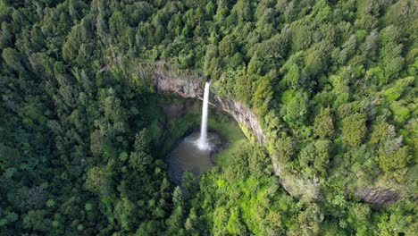 Single-Drop-Waterfall-Of-Bridal-Veil-Falls-In-The-Waikato-Region,-New-Zealand