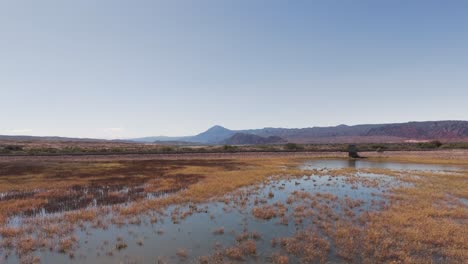 Low-altitude-drone-flight-over-a-beautiful-dam-in-Cafayate,-Salta,-Argentina