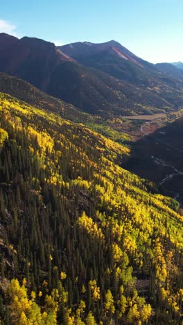 Colorful-Autumn-Landscape,-Vertical-Aerial-View-of-Aspen-and-Conifer-Trees,-Yellow-Green-Colors-of-Colorado-Countryside-USA