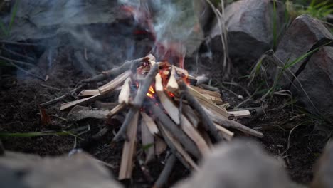 starting-bushcraft-fire-Campfire-in-a-fire-pit-in-the-woods