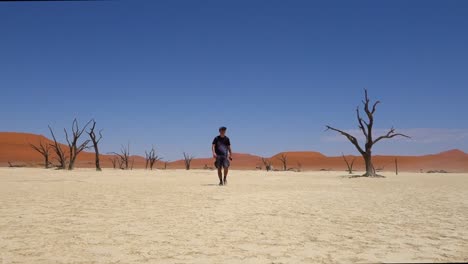 Man-walks-alone-between-death-acacia-trees-in-sossusvlei,-deadvlei