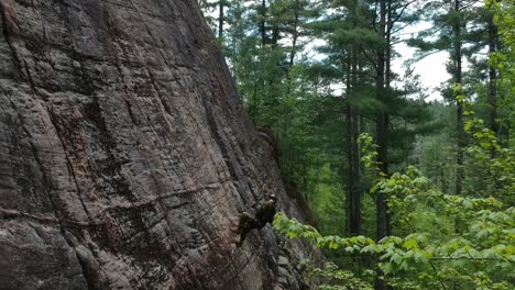 Canadian-Armed-Forces-members-repelling-in-Petawawa-Ontario