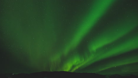 Stunning-Northern-Lights--on-Bright-Starry-Sky,-Timelapse