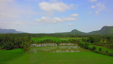 Kollengode,-Palakkad---Ein-Grenzdorf-Im-Distrikt-Palakkad,-Berühmt-Für-Seine-Wunderschönen,-Ausgedehnten-Reisfelder-Und-Wasserfälle