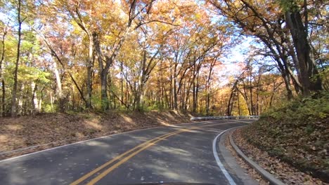 Driving-car-in-amazing-autumn-woods-with-yellow-foliage