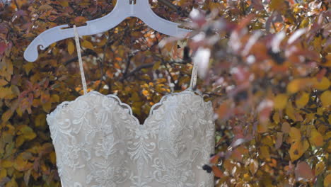 A-Beautiful-Wedding-Dress-hanging-in-Trees-in-Autumn