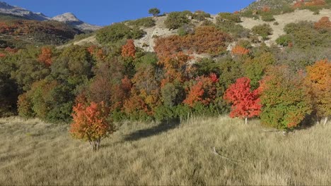 Wunderschönes-Herbstlaub-In-Der-Nähe-Von-Alpine,-Utah-An-Einem-Sonnigen-Oktobertag,-Aus-Der-Luft-Gesehen