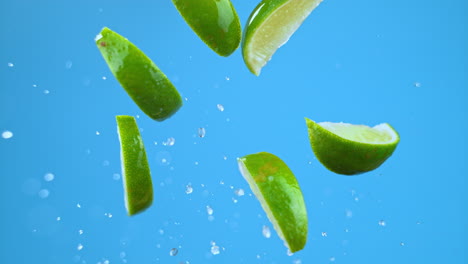 Flying-limes,-lime-slices