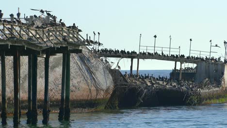 Seacliff-State-Beach-En-Santa-Cruz,-California,-Es-Conocida-Por-Su-Muelle-De-Pesca-Y-El-SS-Palo-Alto-Hundido,-Un-Barco-De-Hormigón-Construido-En-1917-En-La-U.