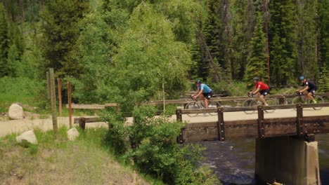 Professional-cyclists-going-over-a-bridge-surrounded-by-pine-trees