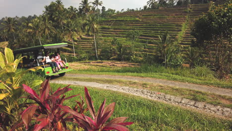 Small-green-shuttle-bus-carrying-unidentified-passengers-passes-by-on-path-at-Jatiluwih-Rice-Terrace-UNESCO-site