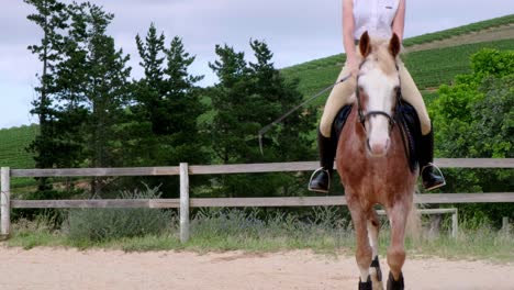 Jockey-galop-in-horse-parade-event