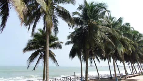 Kokosnussbäume-Am-Meer-In-Cape-Coast