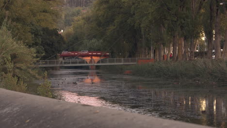 A-stunning-view-of-calm-river-waters-of-Leiria,-Portugal-with-birds-landing-on-the-concrete-wall-and-water-with-a-small-bridge-in-the-distance---Time-lapse