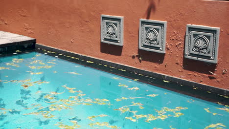 Orange-wall-with-gray-features-over-end-of-dirty-pool-with-leaves,-slide-left