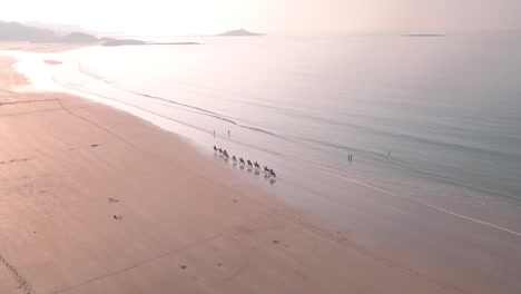 Luftaufnahme-Einer-Drohne-Von-Pferden,-Die-Bei-Sonnenuntergang-Am-Strand-Galoppieren