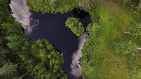 Imágenes-De-Drones-De-Lago-Espejo,-Bosque-Y-Parque,-Movimiento-Circular