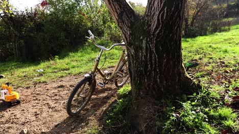 An-old-bicycle-leaning-against-a-tree