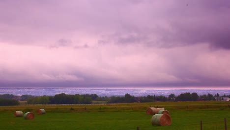 Wheat-bales-after-wheat-harvest