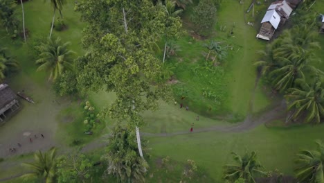 Bird’s-Eye-view,-villager-walking-around-and-kids-playing-on-the-green-grassland,-huts-and-palm-trees-in-the-background-in-Kanganaman-Village,-Sepik-Region,-Papua-New-Guinea