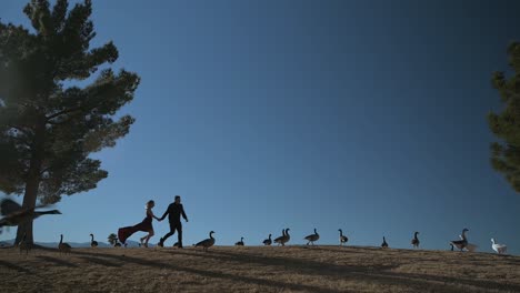 Cinematic-Slowmotion-of-Silhouette-of-Couple-Hand-in-Hand-Running-Over-Hill-Between-Flock-of-Ducks