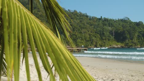 Palmen-Im-Vordergrund-Mit-Einem-Mann-Auf-Einem-Steg-Am-Strand-In-Zeitlupe