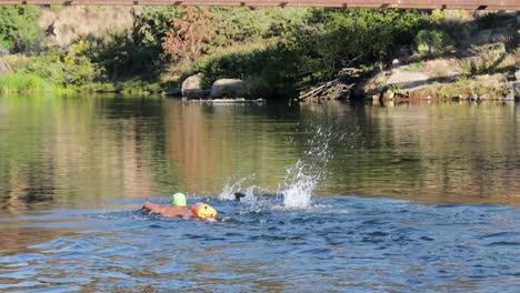 Zwei-Entschlossene-Schwimmer-Schwimmen-Weiter-Stromaufwärts.-Weite-Aufnahme