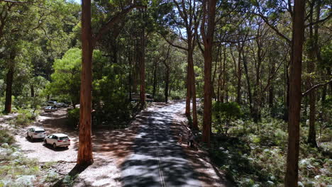 Parking-place-along-the-small-Cave-Road,-immersed-in-the-forest