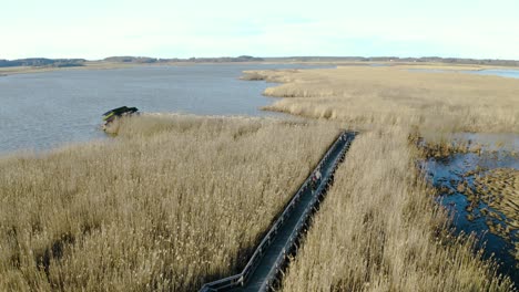 Luftaufnahme-Einer-Fußgängerbrücke-Zwischen-Schilf-Im-Naturschutzgebiet-Hjälstaviken-In-Schweden