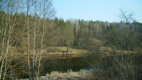 Una-Vista-Del-Paisaje-De-Espesos-Bosques-Y-Un-Río-En-El-Parque-Nacional-En-Un-Día-Claro