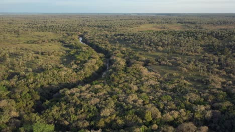 River-in-the-savanna,-aerial-pull-back,-golden-hour-over-the-palm-trees-and-the-river-Arroyo-de-las-Cotorras,-Entre-Ríos,-Argentina