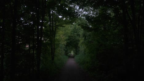 Walking-Through-A-Dark-Path