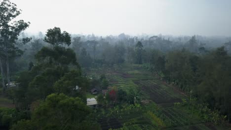 Aerial-view-moving-forward-shot,-scenic-view-of-houses-and-crops,-fog-in-the-background