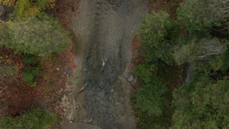 Aerial-shot-of-a-river-gorge