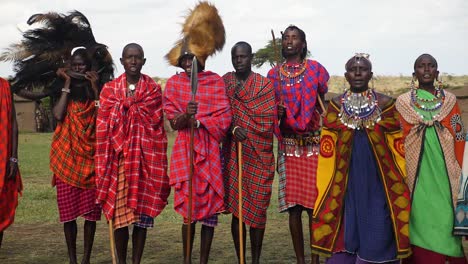 Eine-Zeitlupenaufnahme-Des-Tanzes-Der-Massai-Stämme-Im-Masai-Mara-Nationalpark-In-Kenia-Am-Späten-Nachmittag,-Während-Sie-Ihre-Traditionelle-Kleidung-Und-Ihren-Schmuck-Sowie-Kriegerwaffen-Präsentieren