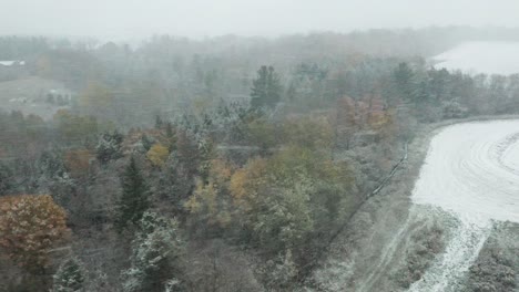 Aerial-orbiting-around-an-autumnal-forest-on-a-strong-snowfall-in-Canada