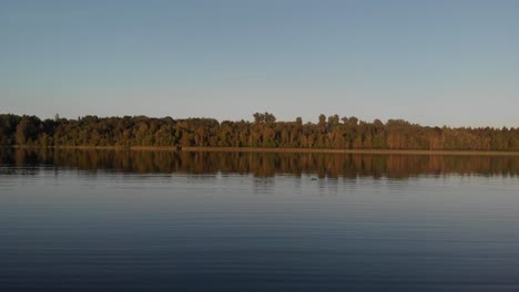 Drone-Volando-A-Través-De-Un-Gran-Lago-Mientras-Un-Pato-Nada