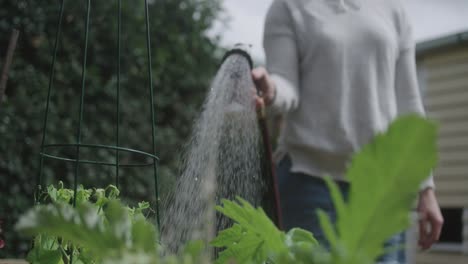 Woman-watering-vegetable-garden-morning-light-1000-fps-phantom