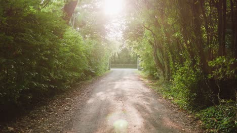 Caminar-Con-Cardán-Por-Un-Camino-De-Entrada-O-Camino-Hacia-Una-Granja-O-Finca-Irlandesa