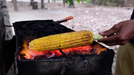 Cocinar-Maíz-Con-Maíz-Dulce-En-Una-Barbacoa-A-Fuego-Abierto-En-Bali.