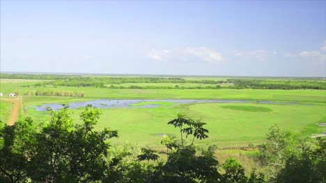 Northern-Territory-Australian-wetlands-summer-swamps