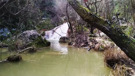 Stetiger-Wasserfall-Und-Grüner-See-Inmitten-Des-Regenwaldes