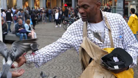 Slow-motion-footage-of-man-holding-hand-out-to-feed-pigeon-bird-seed-before-passing-on-to-young-boy,-Amsterdam,-Netherlands