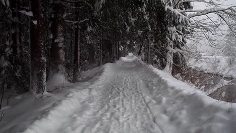 Walk-trough-a-snowy-forest-beside-a-river-in-switzerland-in-the-winter