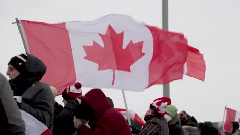 Crowd-of-protestors-waving-Canadian-flags-on-a-Cold-and-Windy-Day